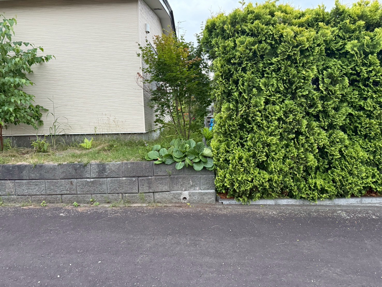 https://sapporo-fudousan-soudanjo.com