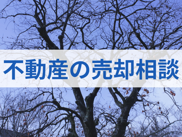 https://sapporo-fudousan-soudanjo.com
